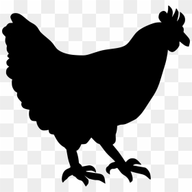 Hen Clipart Png, Transparent Png - white hen png