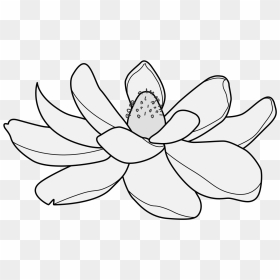Lotus , Png Download - Lotus, Transparent Png - lotus png images