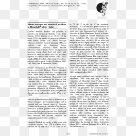 Document, HD Png Download - indian monkey png