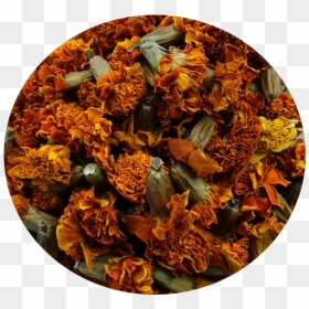 Chrysanths, HD Png Download - marigold garland png