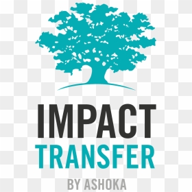 Mnac, HD Png Download - ashoka tree png