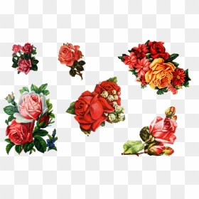 Printable Rose Stickers, HD Png Download - gamla flower png