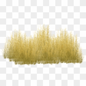 Free Png Download Yellow Grass Png Images Background - Tall Yellow Grass Png, Transparent Png - grass background hd png