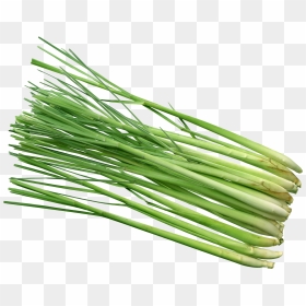 Lemon Grass Hd Png , Png Download, Transparent Png - grass background hd png