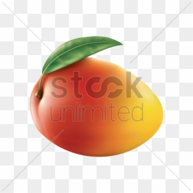 Thumb Image - Nectarines, HD Png Download - mango png image