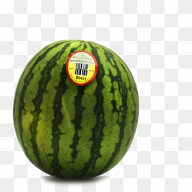 Watermelon, HD Png Download - water melon png