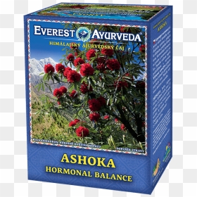 Everest Ayurveda Ashoka, HD Png Download - ashoka tree png