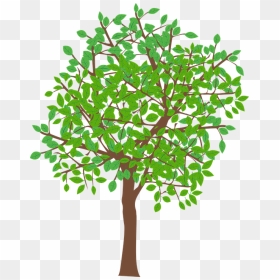 Free Tree Graphic, HD Png Download - green trees png
