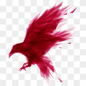 Transparent Raven Feather Png - Ravendb Png, Png Download - database images png