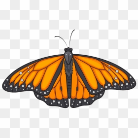Monarch Butterfly Clipart, HD Png Download - butterfly png 3d images