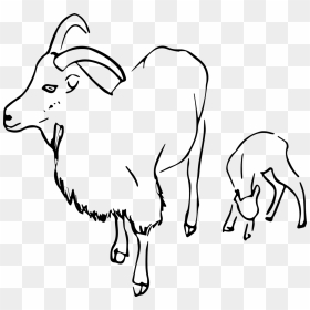 De Vector, HD Png Download - goat images png