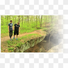 Trail Forest Transparent Background, Hd Png Download - Trail, Png Download - grass background hd png