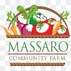 Vegetable Basket Logo By Floy Rodriguez - Massaro Community Farm, HD Png Download - vegetable basket png