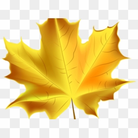 Gold Leaf Color, HD Png Download - chinar leaf png