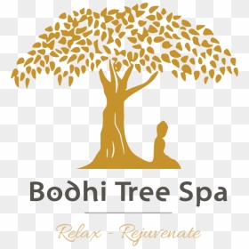 Drawing Buddha Tree - Bodhi Tree Drawing Easy, HD Png Download - peepal tree png