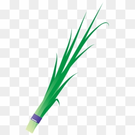 Garlic Chives Vegetable Clipart, HD Png Download - vegitable png