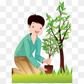 Planting Trees Man - Tree Planting Clipart Png, Transparent Png - green trees png