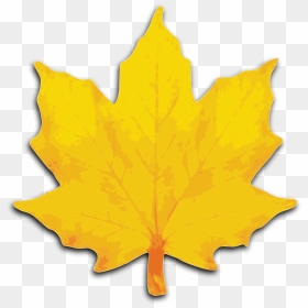 Gold Leaves Cliparts - Orange Maple Leaf Clipart, HD Png Download - chinar leaf png