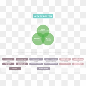 Fp Team Org Chart-01[2], HD Png Download - shrubs plan png