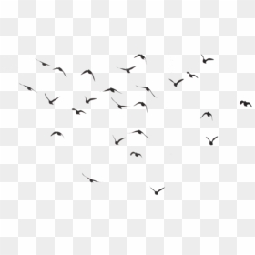 Birds Flying Away Tattoo Tumblr - Transparent Birds Flying Png, Png Download - tattoo png for picsart