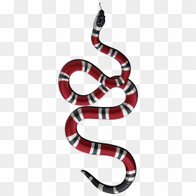 Decal Kingsnakes Gucci Sticker Serpent Png Free Photo - Gucci Snake Logo Png, Transparent Png - tattoo png for picsart