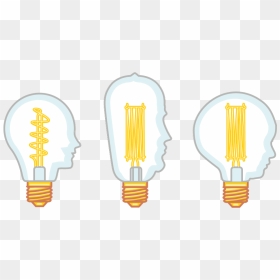 Transparent Diverse Clipart - Illustration, HD Png Download - bulb.png