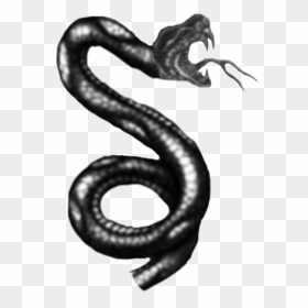 Black And White Snake Tattoo Designs, HD Png Download - tattoo png for picsart