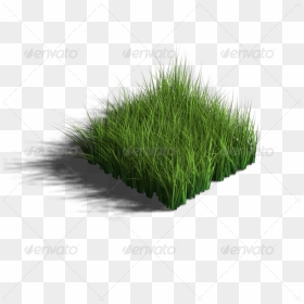 Sweet Grass, HD Png Download - grass png for photoshop