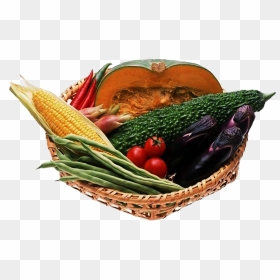 Vegetable, HD Png Download - vegetable basket png