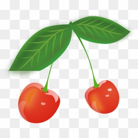 Clipart Leaf Pipal - Cherry Leaves Clipart, HD Png Download - peepal tree png