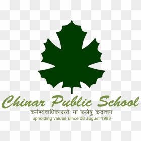 Logo - Chinar Public School Alwar, HD Png Download - chinar leaf png