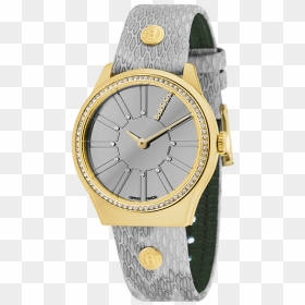 Lady Adria Stone Gold Grey - Watch, HD Png Download - ladies watches png