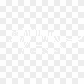Chasing Stripes - Johns Hopkins Logo White, HD Png Download - temple gopuram png
