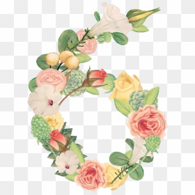 #floral #number #6 - Floral Number 6, HD Png Download - florel png