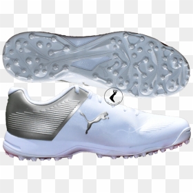 Puma One8 19 Fh Cricket Rubber Shoes, White Gold - Puma One8 Cricket Shoes, HD Png Download - puma shoes png