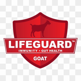 Graphic Design, HD Png Download - goat images png