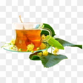 Green Tea Png Transparent Images - Ziołowa Herbata, Png Download - tea images png