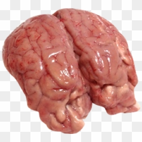 Goat Brain, HD Png Download - goat images png