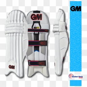 Helmet Splay Adult Professional Cricket Kit Set Ball - Gm Cricket Pads, HD Png Download - cricket kit png