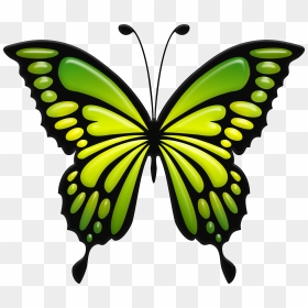 Green Butterfly Png , Png Download, Transparent Png - butterfly hd png