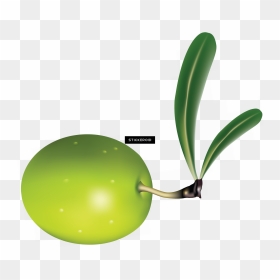 Olive Clipart Jamun Fruit - Clip Art, HD Png Download - jamun png