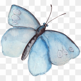 Clipart Wallpaper Blink - Watercolor Butterfly Clipart, HD Png Download - butterfly hd png