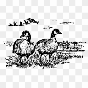 Art,livestock,fowl, HD Png Download - cack png
