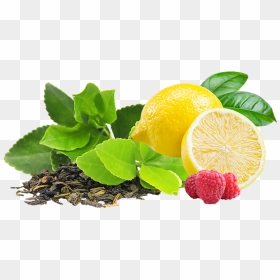 Mellow Mood Archives Marley - Tea Leaves Transparent Background, HD Png Download - lemon tea png