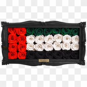 Wall Frame - Garden Roses, HD Png Download - wall frame png