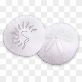 Sand Dollar, HD Png Download - sand dust png