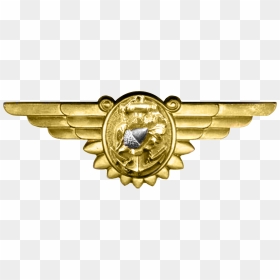 Wwii Naval Flight Nurse Insignia - Ww2 Badges Png, Transparent Png - ww2 png