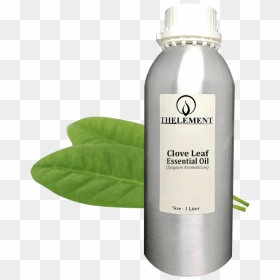 Citronella Oil, HD Png Download - clove png