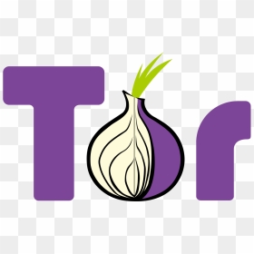 1280px Tor Logo 2011 Flat - Tor Onion, HD Png Download - nsa logo png