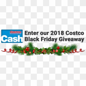 Black Friday Giveaway - Christmas Tree, HD Png Download - costco png